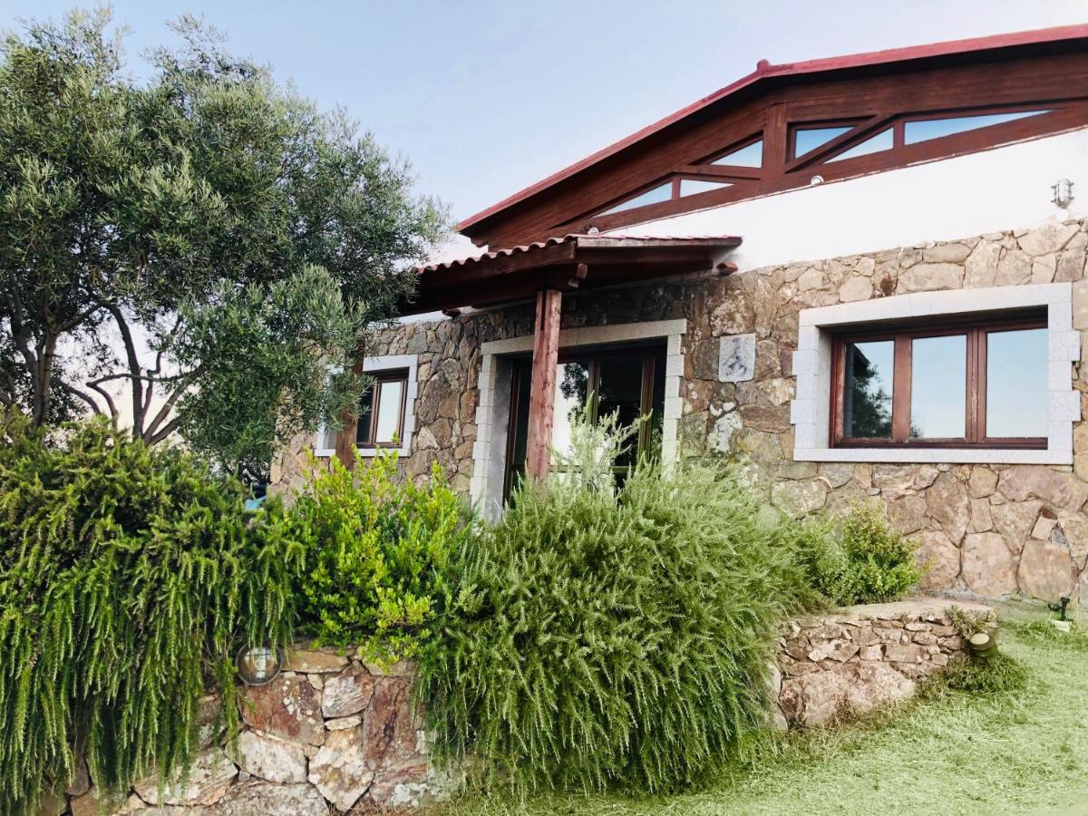 Trasicca B&B Brunella Экстерьер фото