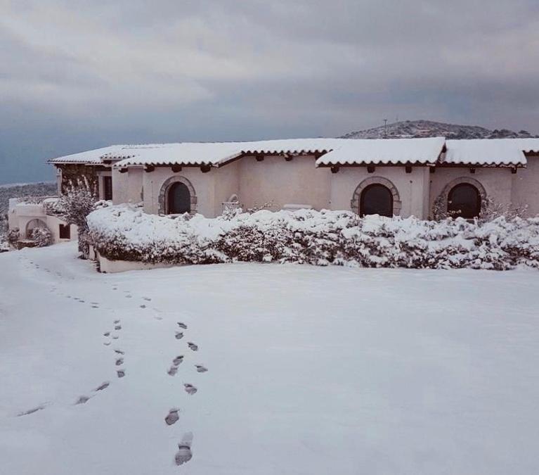 Trasicca B&B Brunella Экстерьер фото